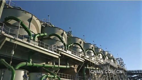 深化六個(gè)引領(lǐng)，建設(shè)一帶一路精品工程——礦冶集團(tuán)南非PMC浮選廠總承包項(xiàng)目建設(shè)紀(jì)實(shí)